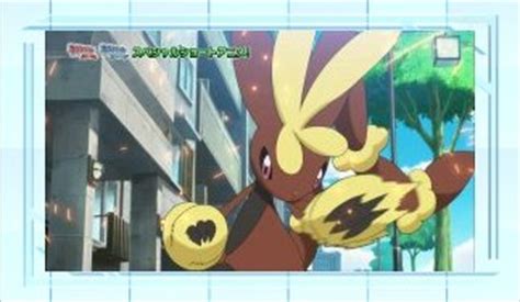 serebii lopunny|Pokémon of the Week .